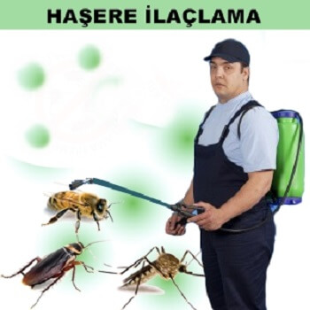 İbradı Böcek İlaçlama